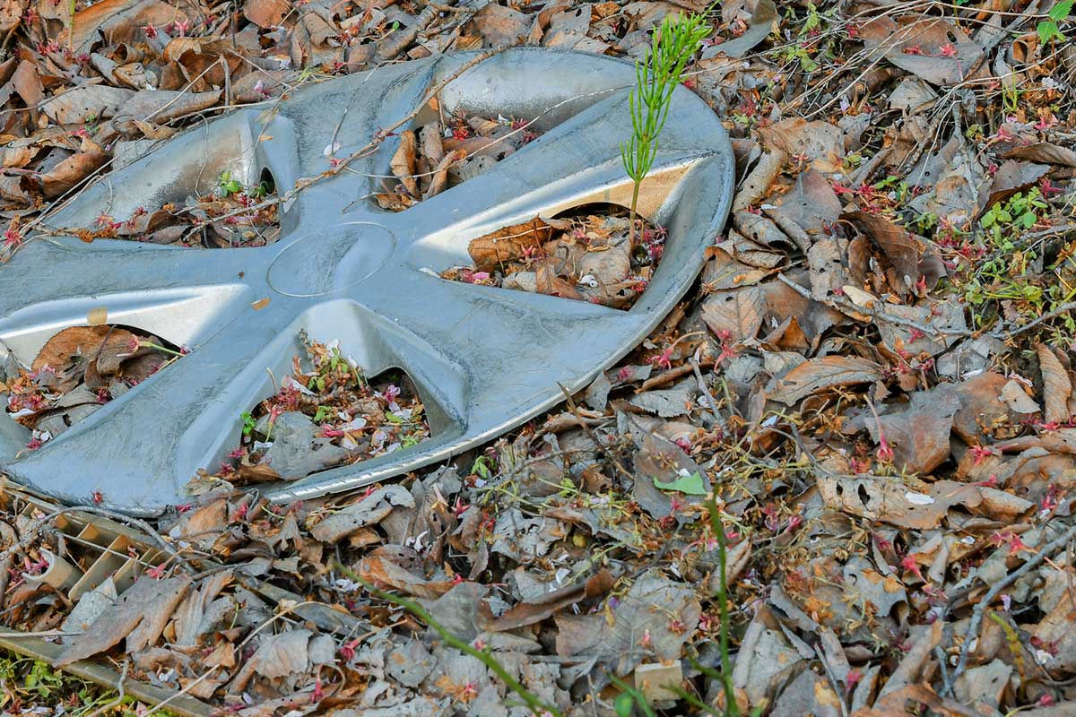 Hubcap story from Southwark